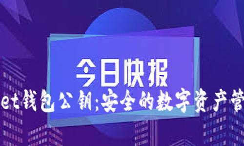 tpWallet钱包公钥:安全的数字资产管理指南
