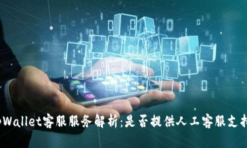 tpWallet客服服务解析:是否提供人工客服支持?