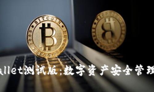 探索tpWallet测试版:数字资产安全管理的新利器