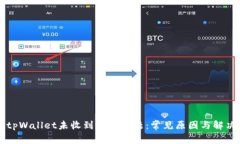 解决tpWallet未收到币的问题：常见原因