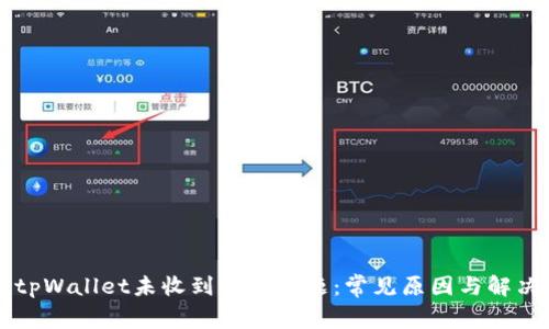解决tpWallet未收到币的问题:常见原因与解决办法