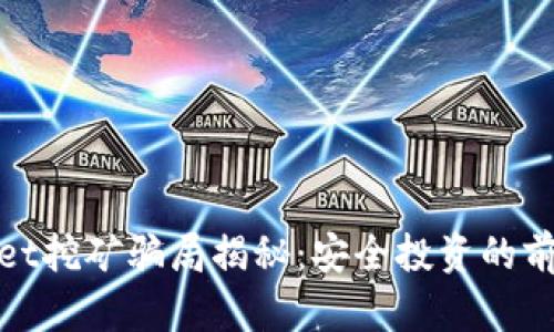 tpWallet挖矿骗局揭秘:安全投资的前沿思考