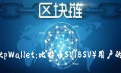 深入了解tpWallet：比特币SV（BSV）用户