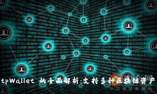 多链钱包 tpWallet 的全面解析:支持多种区块链资产管理与交易