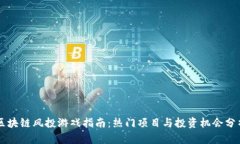 区块链风投游戏指南：热门项目与投资