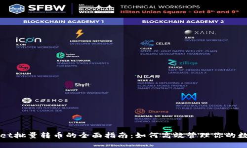 tpWallet批量转币的全面指南:如何高效管理你的数字资产