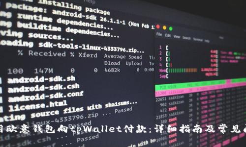 如何使用欧意钱包向tpWallet付款:详细指南及常见问题解答