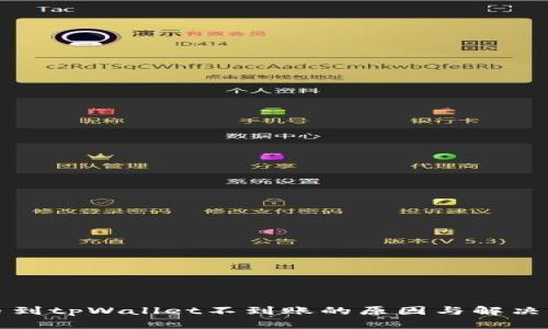 抹茶提币到tpWallet不到账的原因与解决方案解析