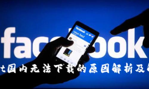 tpWallet国内无法下载的原因解析及解决方案