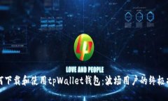 如何下载和使用tpWallet钱包：波场用户