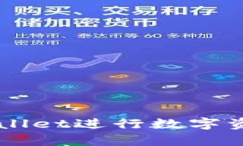 如何使用tpWallet进行数字资产管理与交易