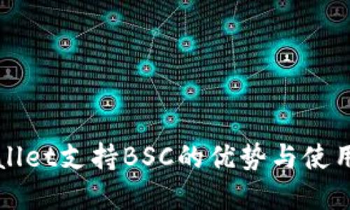 tpWallet支持BSC的优势与使用指南
