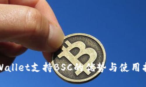 tpWallet支持BSC的优势与使用指南