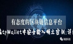 如何在tpWallet中安全输入明文密钥：详