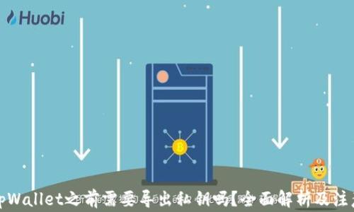 卸载tpWallet之前需要导出私钥吗?全面解析及注意事项