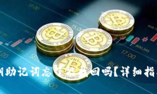 tpWallet私钥助记词忘了能找回吗?详细指南与解决方案