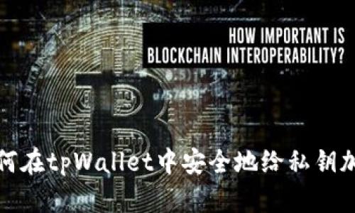 如何在tpWallet中安全地给私钥加密