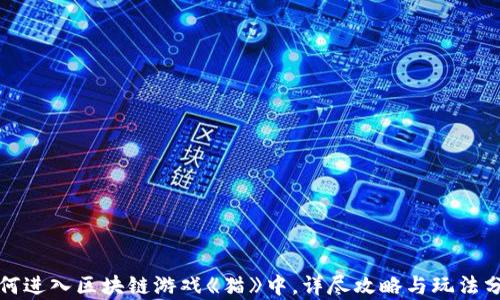 如何进入区块链游戏《猫》中,详尽攻略与玩法分析