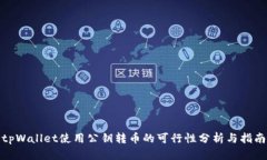 tpWallet使用公钥转币的可行性分析与指
