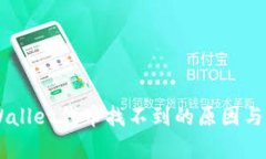 ## tpWallet代币找不到的原因与解决方案