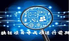 如何在区块链项目中成功进行前期游戏