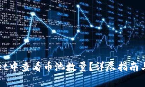 如何在tpWallet中查看币池数量?详尽指南与常见问题解答