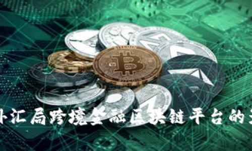 深入探讨外汇局跨境金融区块链平台的影响与前景