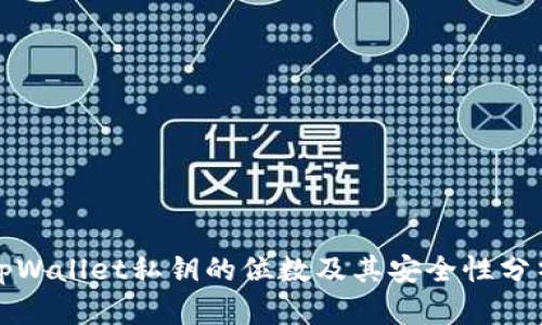 tpWallet私钥的位数及其安全性分析