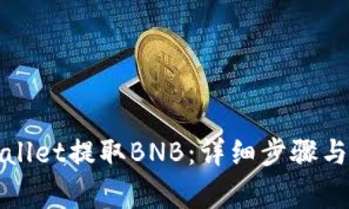 如何通过tpWallet提取BNB:详细步骤与常见问题解答