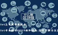 tpWallet怎么提中本聪币tpWallet中本聪币