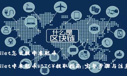 tpWallet怎么提中本聪币
tpWallet中本聪币(BTC)提取指南:完整步骤与注意事项