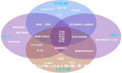 在哪里查看tpWallet的哈希值？详细指南