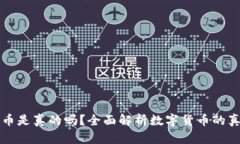 tpWallet的币是真的吗？全面解析数字货