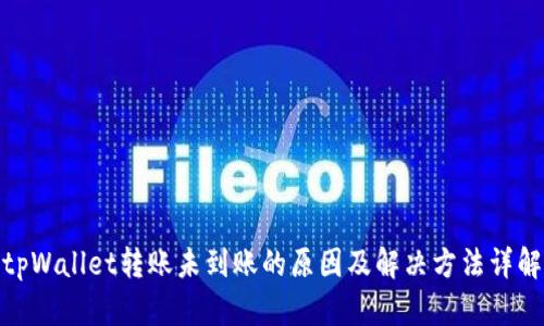 tpWallet转账未到账的原因及解决方法详解