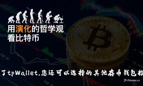 除了tpWallet，您还可以选择的其他存币钱包推荐
