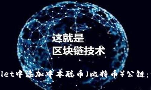 如何在tpWallet中添加中本聪币（比特币）公链：详细操作指南