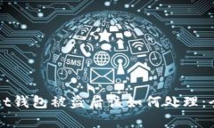 tpWallet钱包被盗后该如何处理：全面指