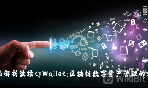 全面解析波场tpWallet：区块链数字资产管理的利器
