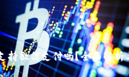 tpWallet支持微信支付吗？全面解析与使用指南