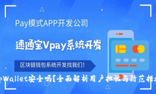 tpWallet安全吗？全面解析用户担忧与防范措施