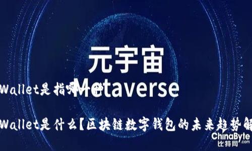 tpWallet是指哪一种

tpWallet是什么？区块链数字钱包的未来趋势解析