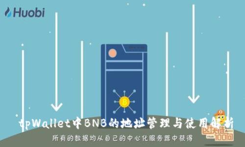  tpWallet中BNB的地址管理与使用解析